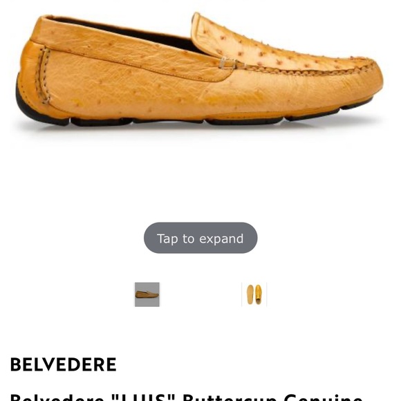 Belvedere Ostrich Loafers main image 5